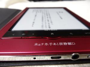 Sony Reader(PRS-650)